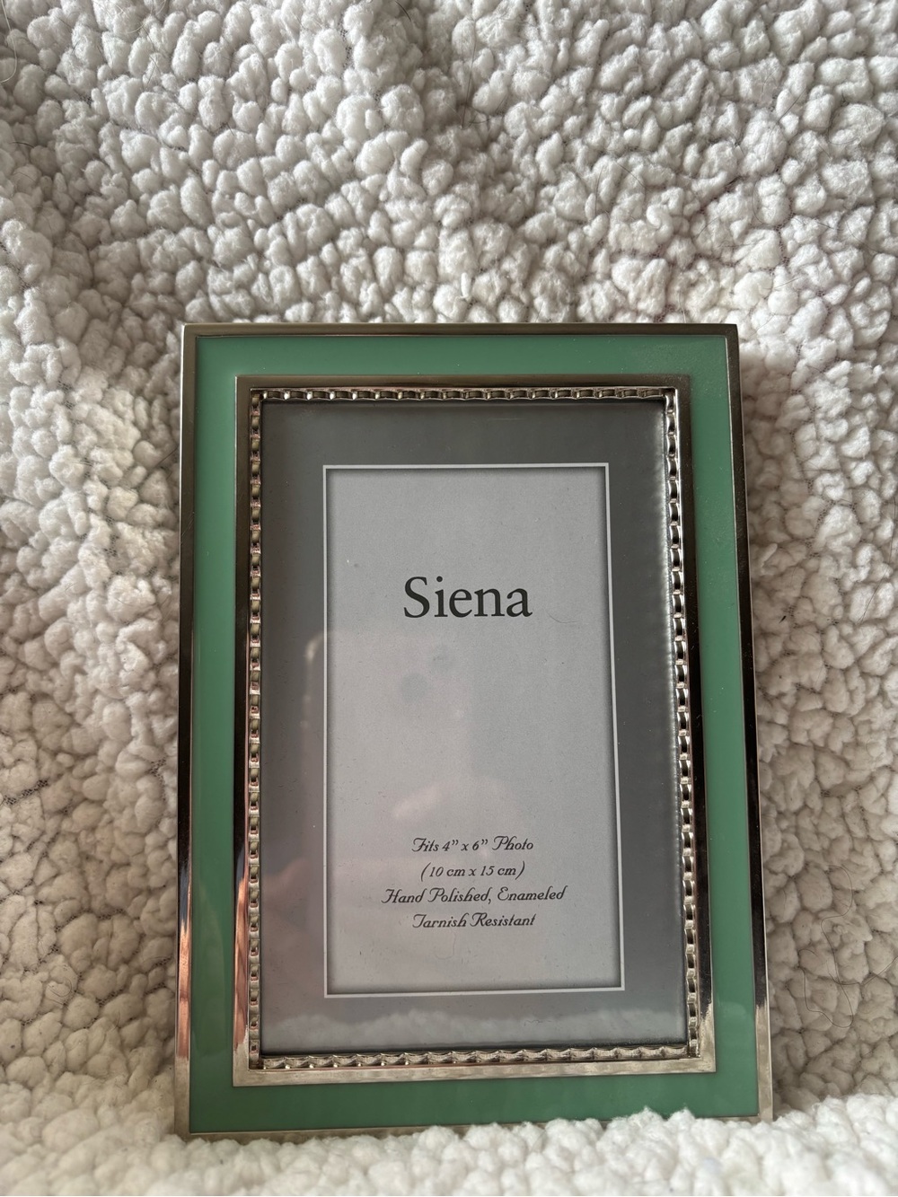 Siena Studio Mint Green Frame with Silver Trim